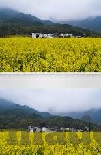 爱爱成人教学视频-爱爱成人教学视频，理性审视与安全探索