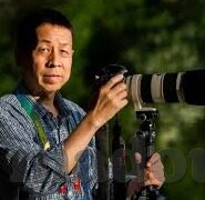 成人蜜桃视频免费-成人蜜桃视频免费，理性审视与安全使用的边界