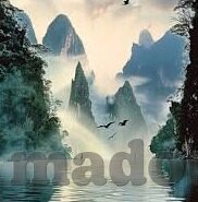 大象传媒无节制观看-理性审视，大象传媒与无节制观看现象的反思