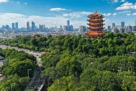 猫爪影像果冻传媒-猫爪与光影，果冻传媒的创意艺术之旅