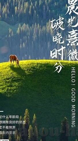 苹果testflight麻豆91-创新思维与平台试用的新篇章，苹果TestFlight与麻豆91的巧妙融合