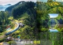 人妻系列一区-探索人妻系列一区的多元面向