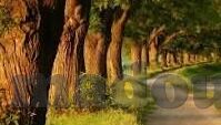 糖心app网址在哪-找寻糖心app网址之旅的启示